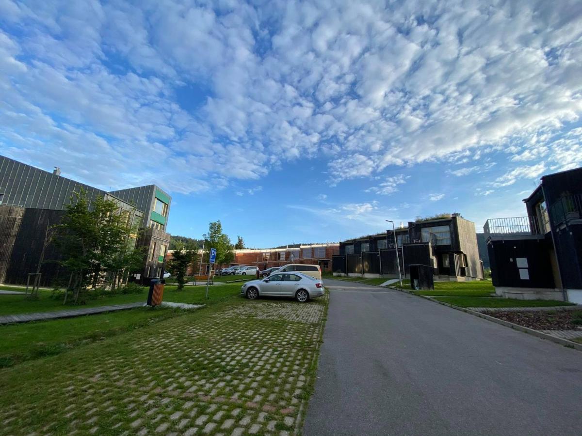 Miky Apartman Klinovec Loučná pod Klínovcem Dış mekan fotoğraf